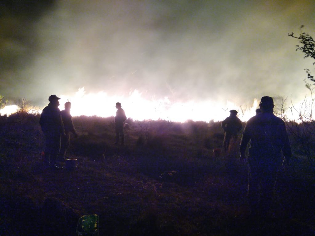 El fuego arrasó con años de investigaciones en terreno del INTA