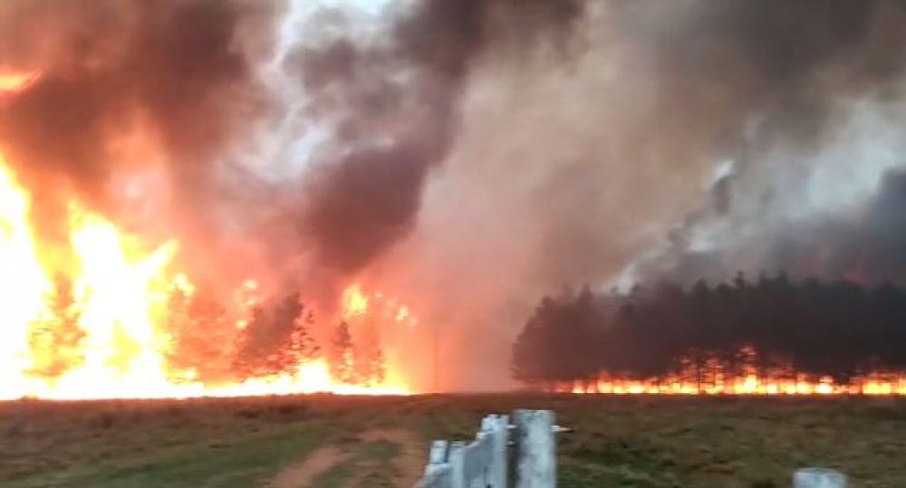 El fuego arrasó en Corrientes con 3.200 hectáreas en lo que va del año