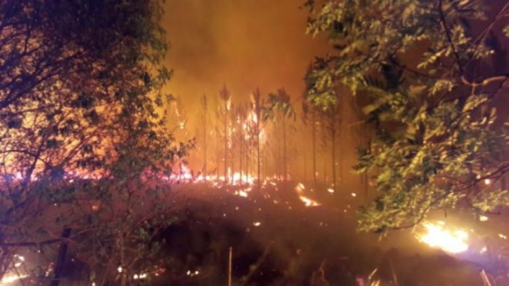 Avanza incontrolable el fuego en Corrientes