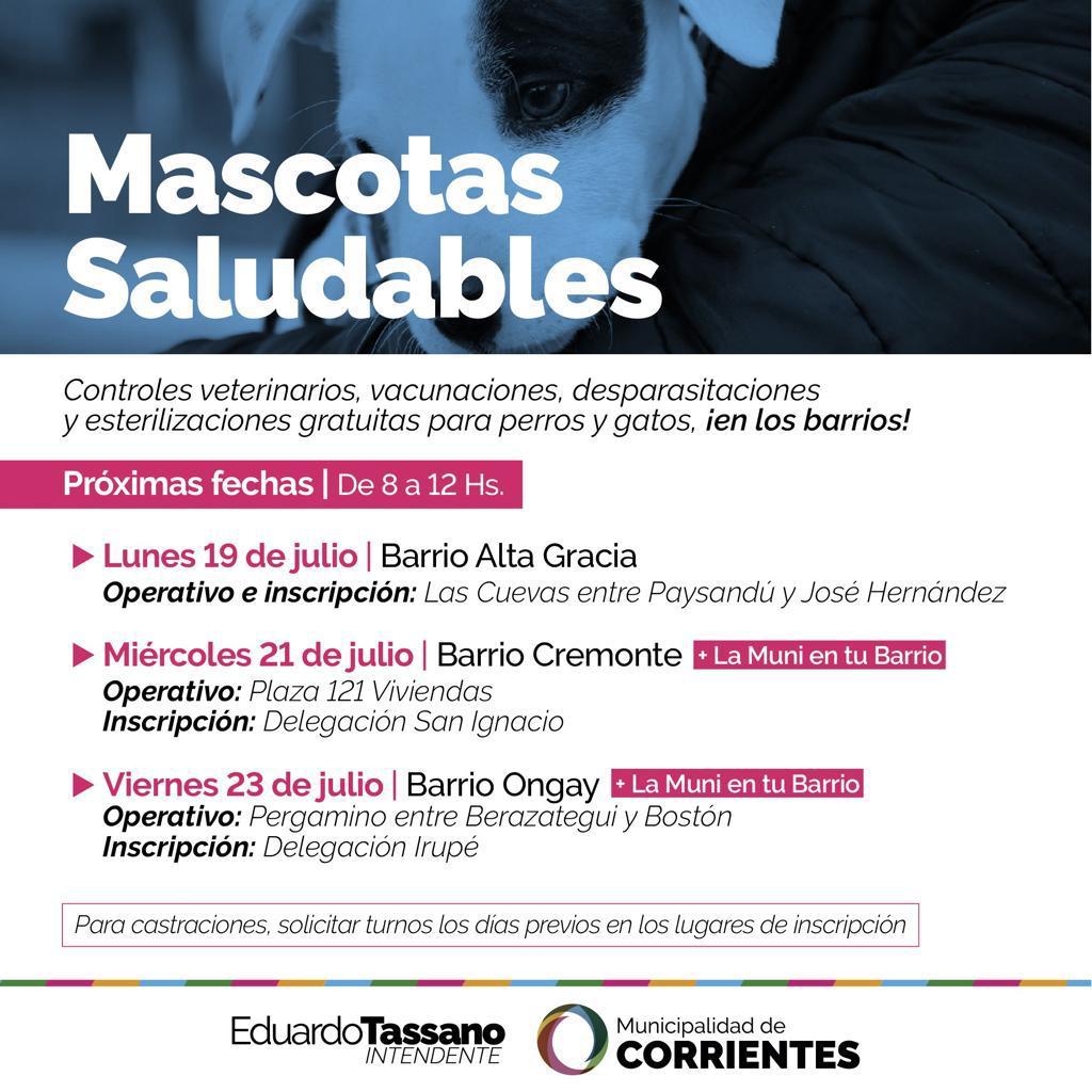 Mascotas Saludables: las atenciones gratuitas llegan al Ongay, Cremonte y Alta Gracia