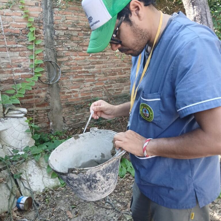 Salud Pública recomienda tomar medidas de prevención contra enfermedades vectoriales